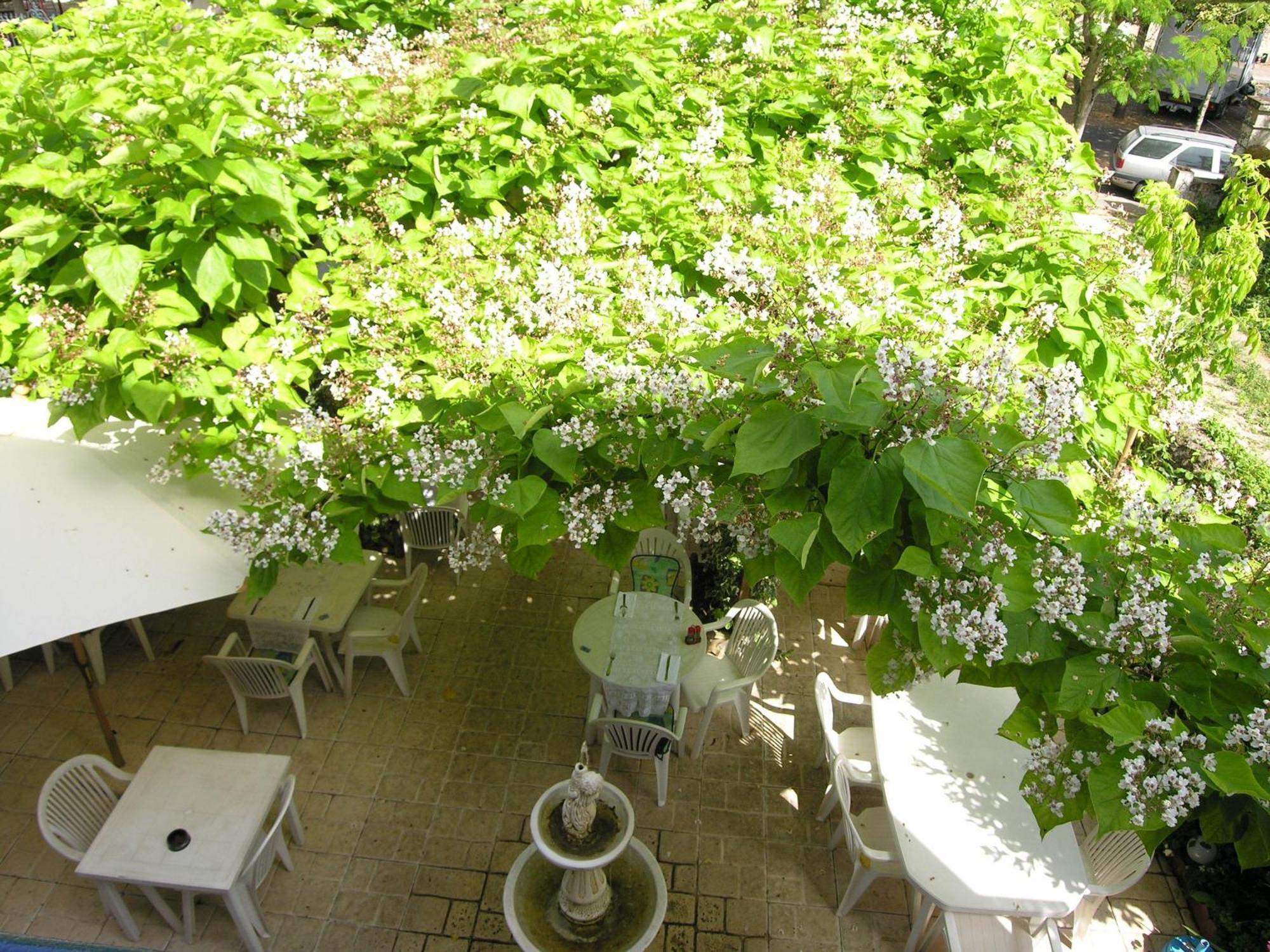Appart'Hotel Les Tilleuls Saint-Macaire Esterno foto
